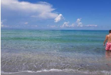 The Monterey Beach Resort St. Pete Beach Ngoại thất bức ảnh